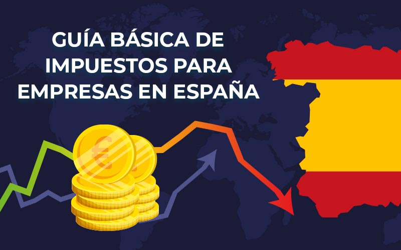 Guía básica de impuestos para empresas en España