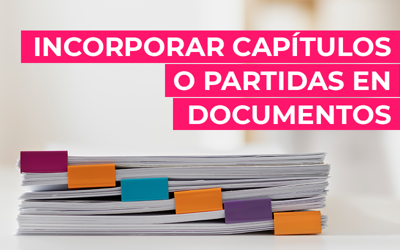 Cómo incorporar capítulos o partidas en documentos desde un software ERP Cómo incorporar capítulos o partidas en documentos desde un software ERP