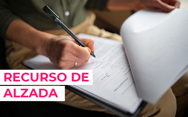 Recurso de alzada [year]: modelo actualizado, ejemplos y plazos